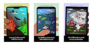 Stacey Echartea, Endangered Species Cards