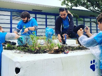 Students planting flowers