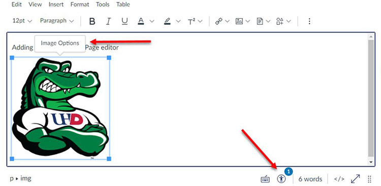 Canvas Rich Text Editor interface. Arrows pointing to Image Options and Accessibility Checker