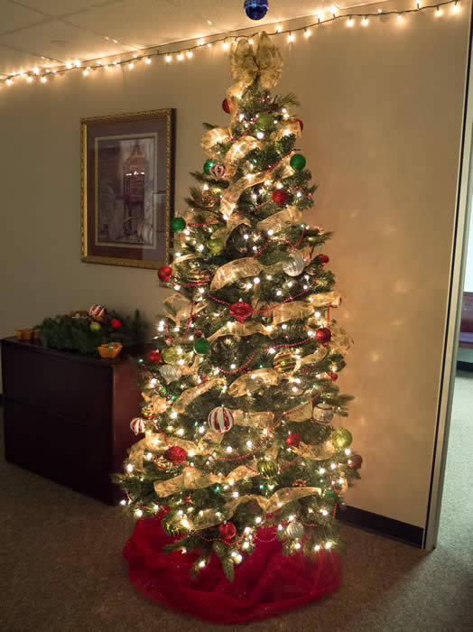 lit up Christmas tree