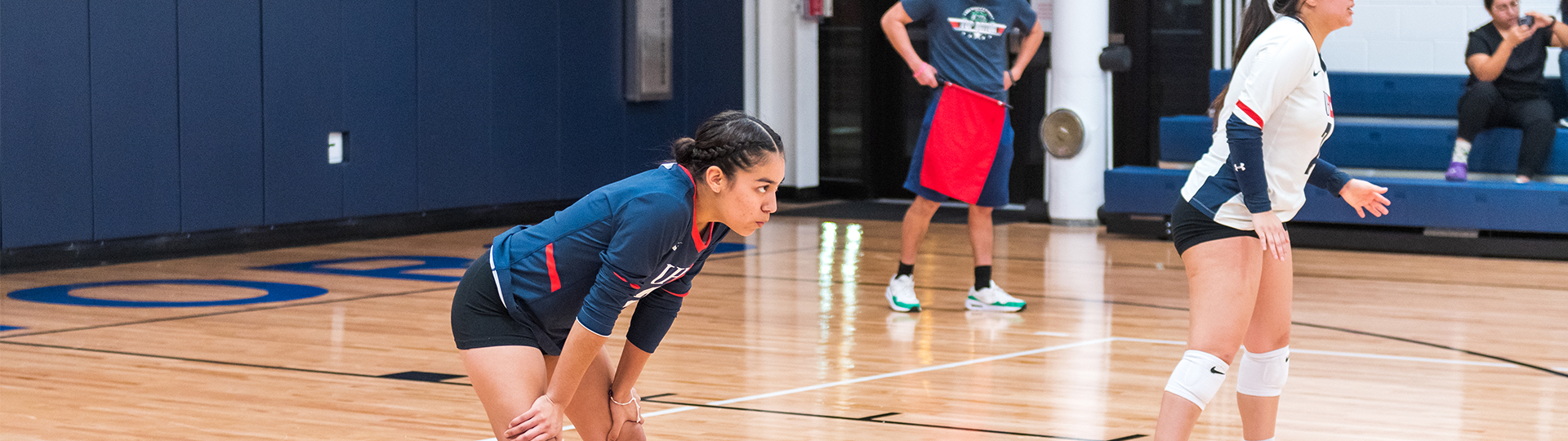 Women's Volleyball Photo 5