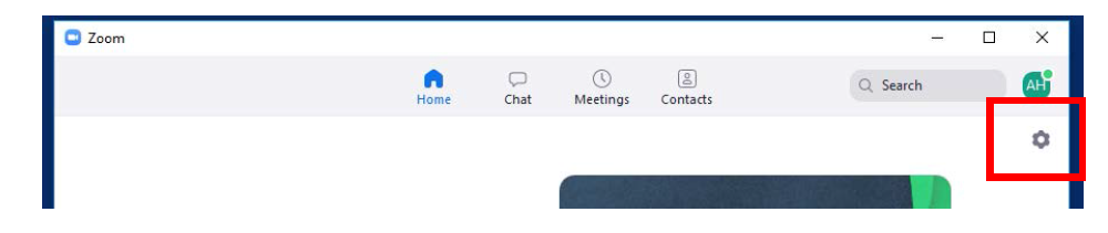 Zoom application settings gear icon