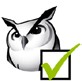 Student Voting icon