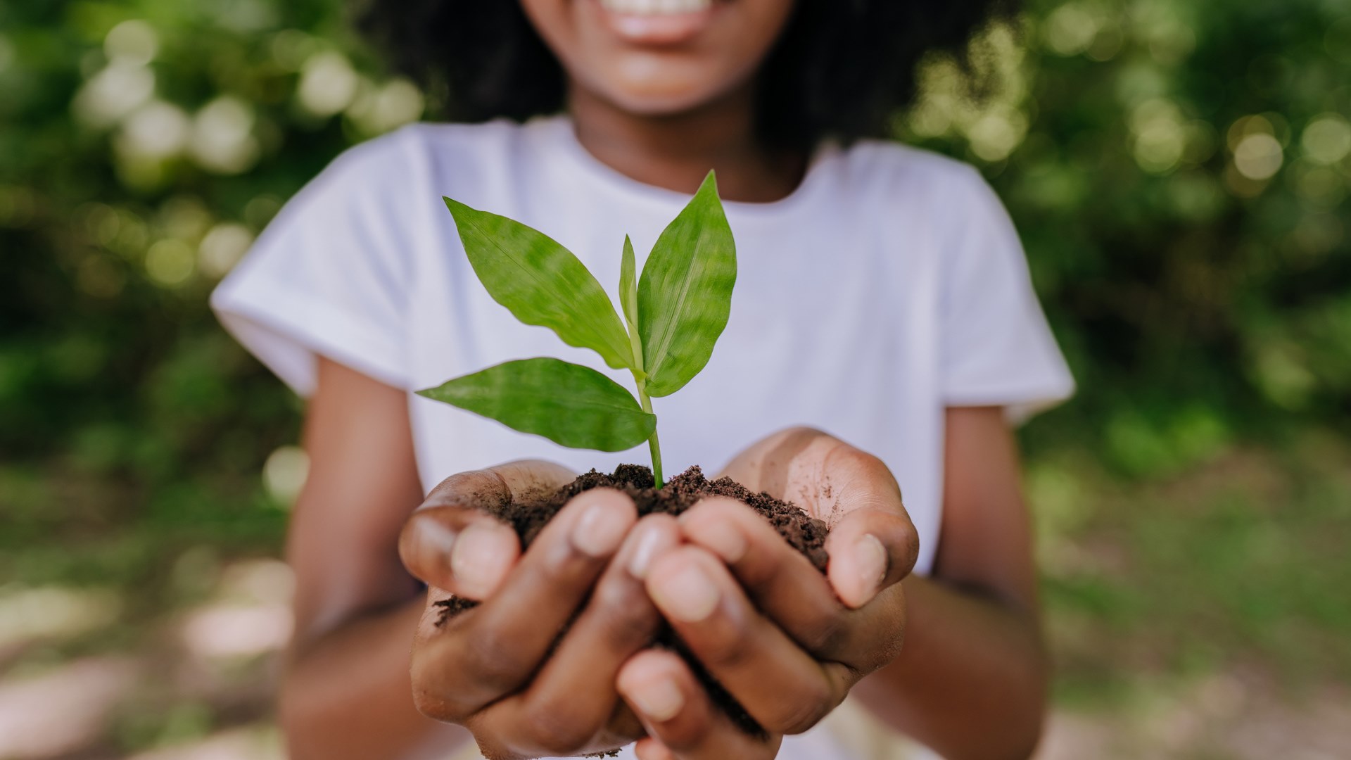 Girl holding soil with a sprouting plant